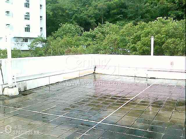 Pok Fu Lam - Pine Grove 03