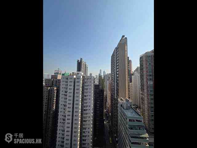 Sai Ying Pun - 15 Western Street 06