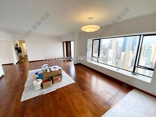 Central - The Albany 02