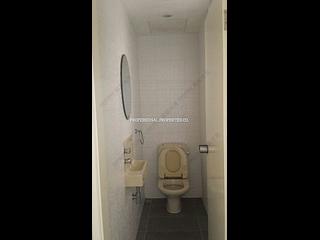 Central - The Albany 16