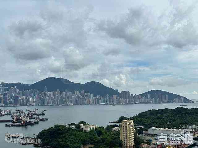 Cheung Sha Wan - Grand Victoria 03