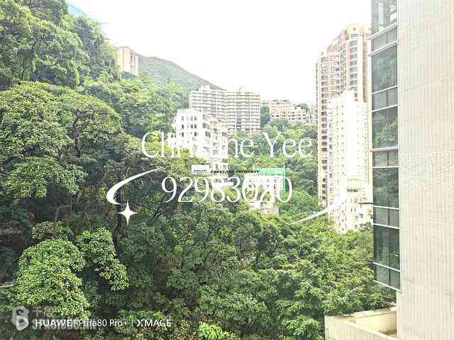 Happy Valley - Shan Kwong Towers 04