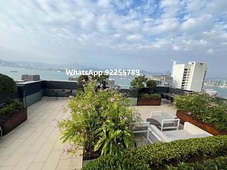 Sai Ying Pun - Artisan House 09