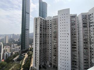 Stubbs Road - Evergreen Villa 02