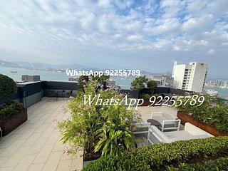Sai Ying Pun - Artisan House 09