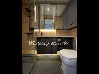 Sai Ying Pun - Artisan House 06