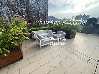 Sai Ying Pun - Artisan House 09