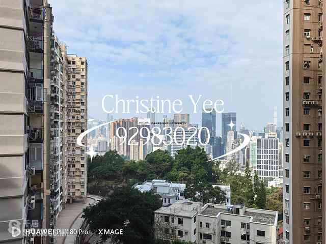 Tai Hang - Bellevue Heights 03