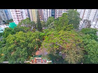 Central - Hollywood Road, 228-230 09