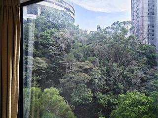 Tai Hang - 1, Tai Hang Road 06