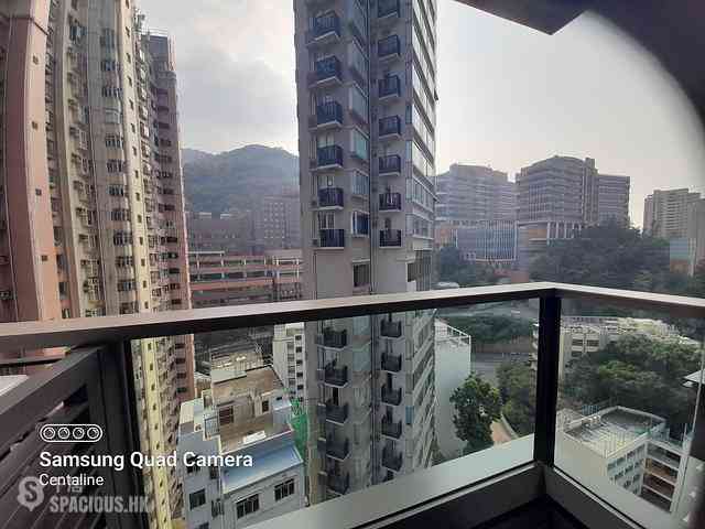 Shek Tong Tsui - The Hilltop 08