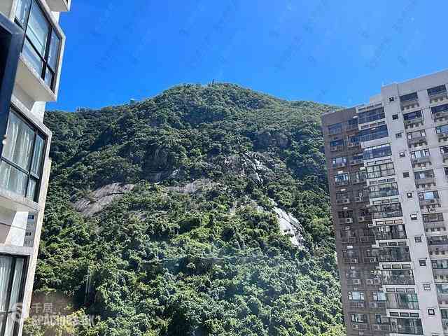 中半山 - 慧豪阁2座 14
