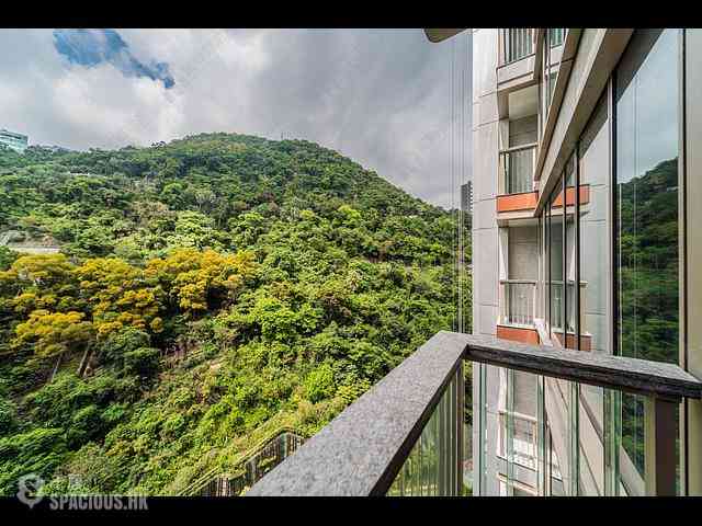中半山 - 21 Borrett Road 1期 19