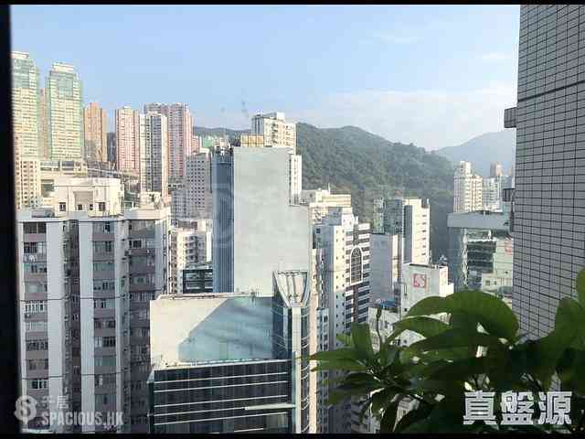 炮台山 - 海峯園 03