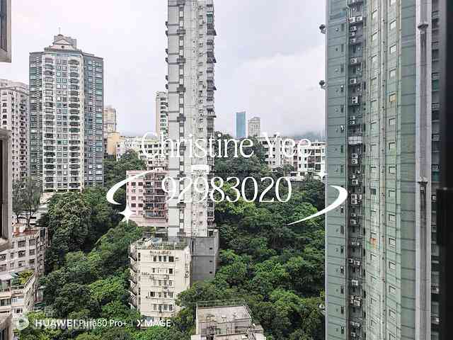 铜锣湾 - 光明台 05
