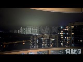 Tseung Kwan O - The Papillons 04