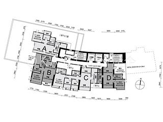 Discovery Bay - Discovery Bay Phase 12 Siena Two Joyful Mansion 15