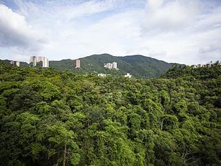 深水湾 - 深水湾径8号 14
