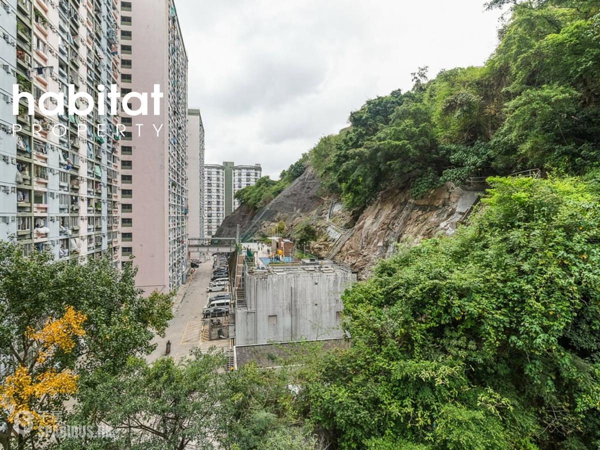 Tai Hang - Serenade 01