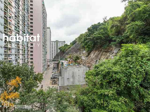 Tai Hang - Serenade 01