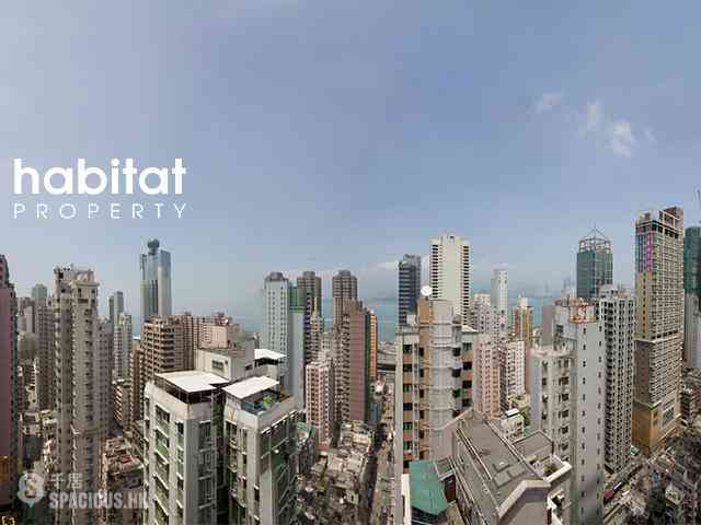Sai Ying Pun - Elite Court 11