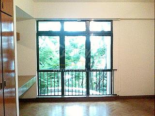 Pok Fu Lam - Pine Grove 08