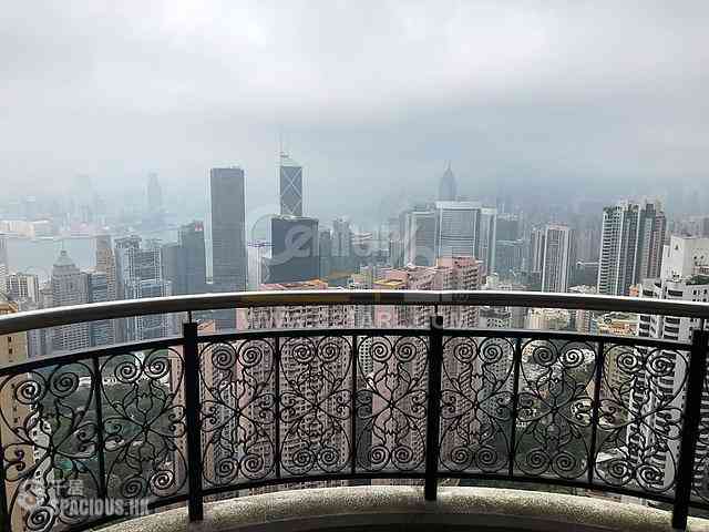 中半山 - 嘉富麗苑1座 01