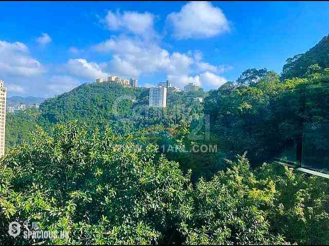 中半山 - 馬己仙大廈 09
