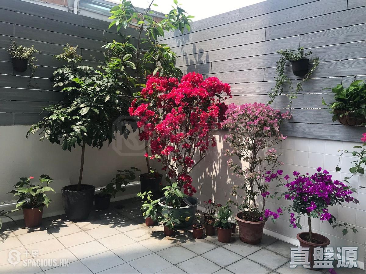 北角 - 城市花园 01