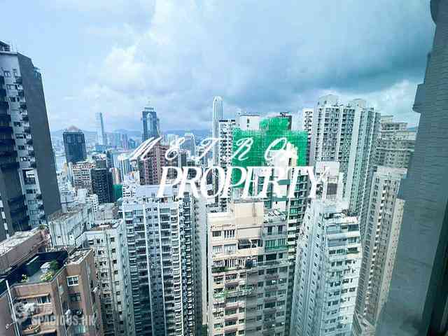 中半山 - 罗便臣道31号 13
