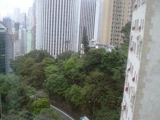 東半山 - 金樱阁 19
