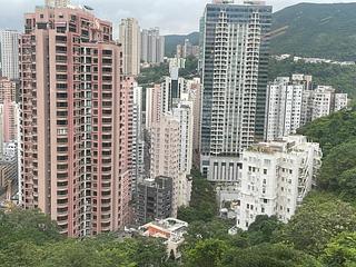 司徒拔道 - 纪园 12