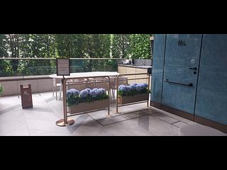 湾仔 - Spring Garden 10