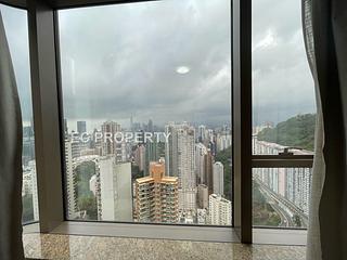 大坑 - 春晖8号 05