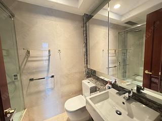Wan Chai - The Avenue Phase 2 Block 1 09
