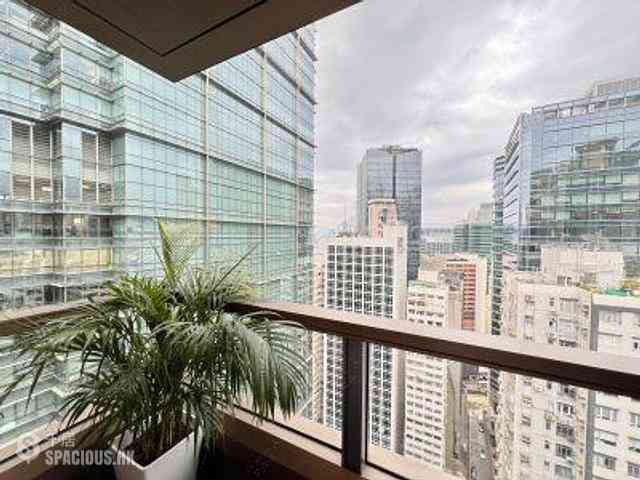 Wan Chai - Eight Star Street 06