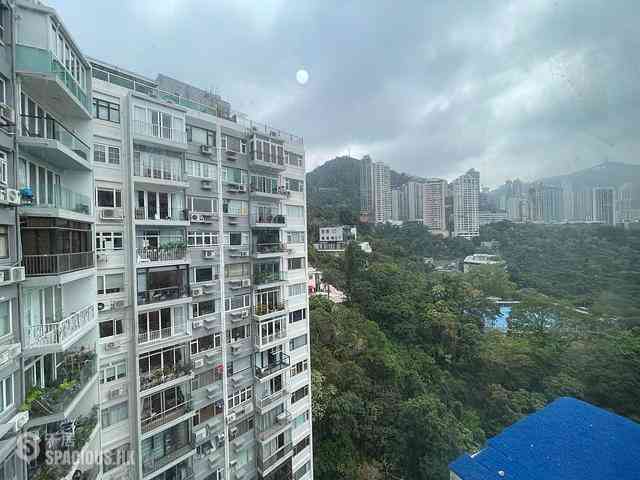 東半山 - 滿峰台 04