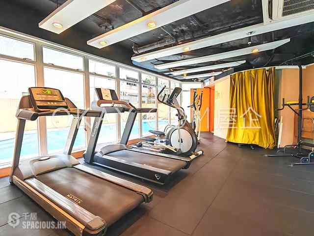 Sai Ying Pun - Reading Place 16