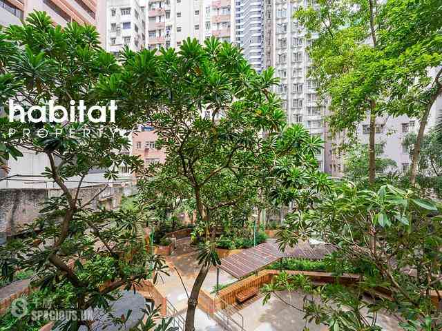 Sai Ying Pun - Orlins Court 02