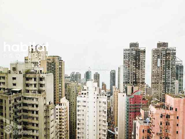 西营盘 - 金凤阁 07