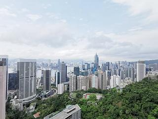 東半山 - 峰景花园 06