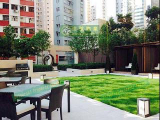堅尼地城 - Lexington Hill 16