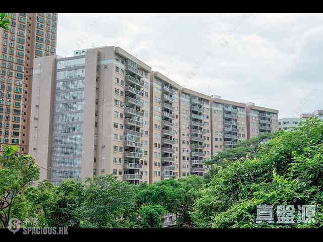 西半山 - 联邦花园 巴黎阁 (2座) Paris Court 12