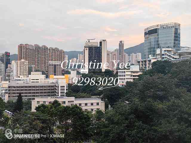 湾仔 - 尚翘峰 01