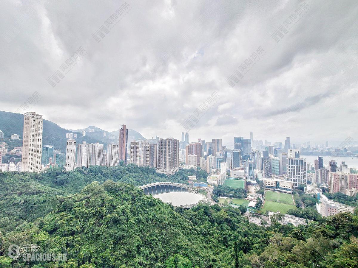 Tai Hang - Jardini 01
