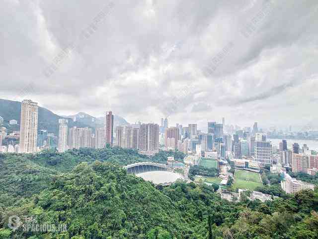 Tai Hang - Jardini 01