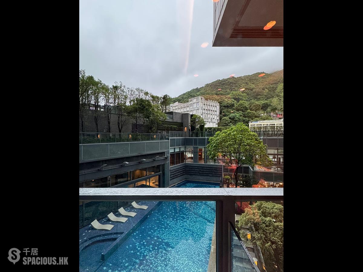 Shau Kei Wan - Lime Gala 01