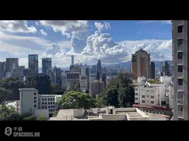 大坑 - 柏园 01