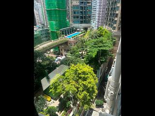 Wan Chai - New Spring Garden Mansion 08