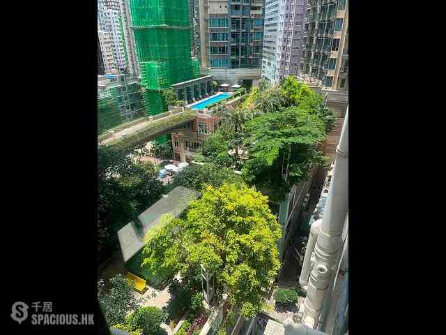 Wan Chai - New Spring Garden Mansion 08